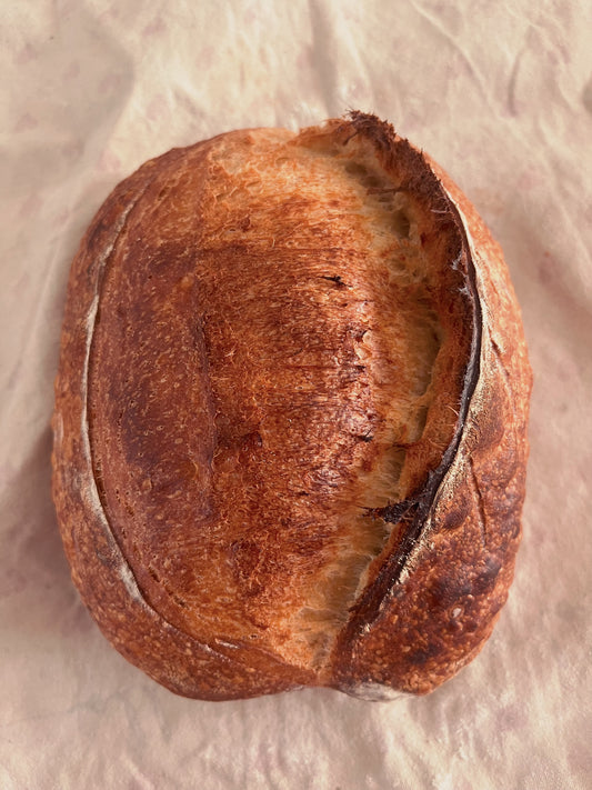 Classic White Sourdough